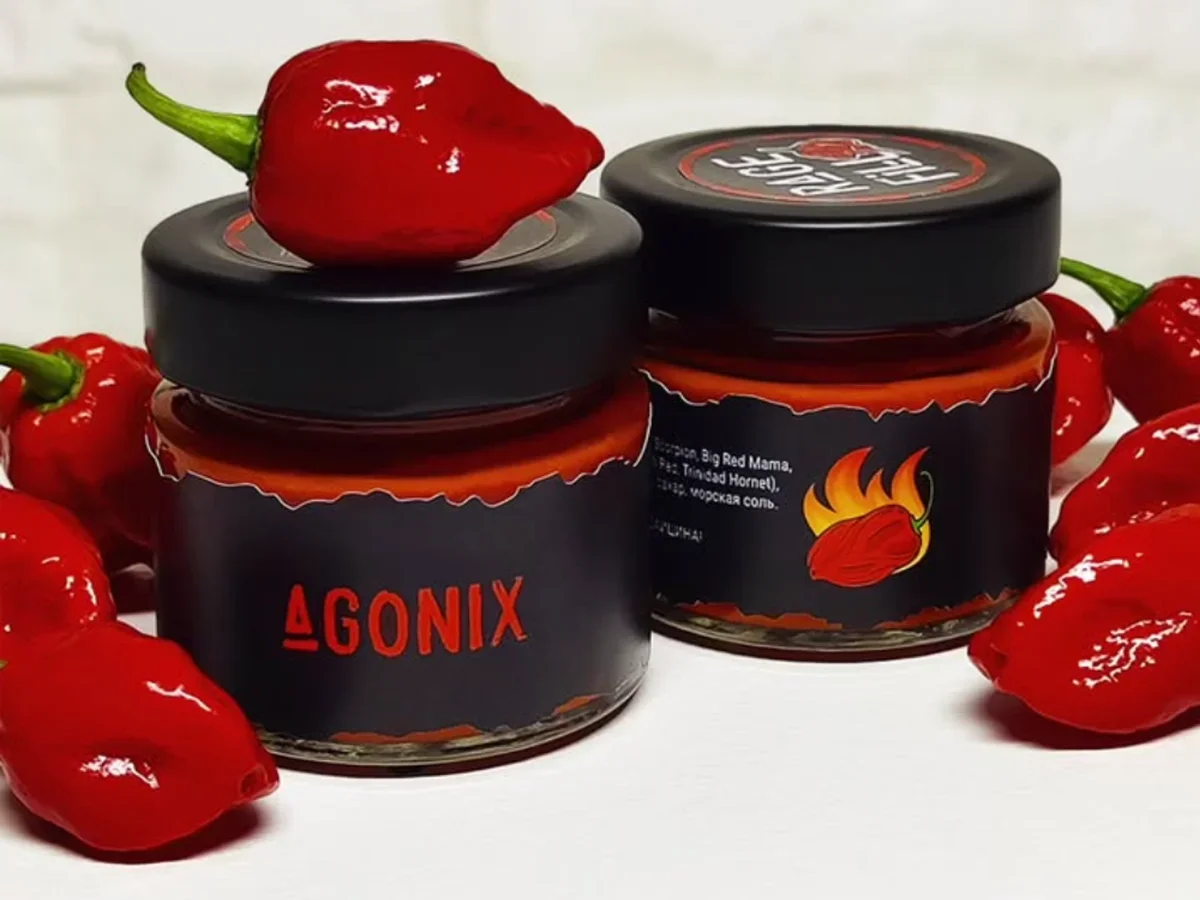 5 способов как использовать AGONIX