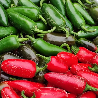 Jalapeno